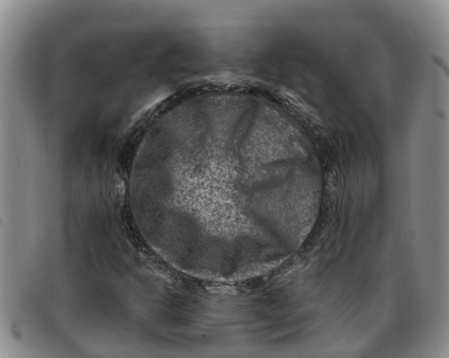 X0000097461302200803141842