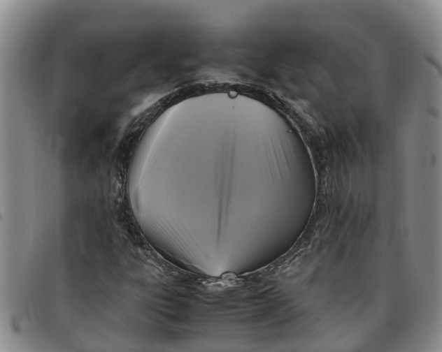 X0000097461303200803141842