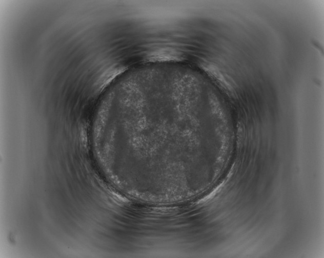 X0000097461305200803141843