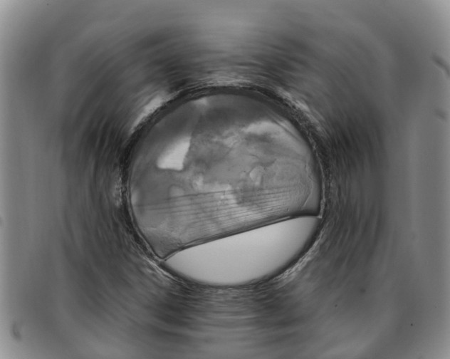 X0000097461306200803141843