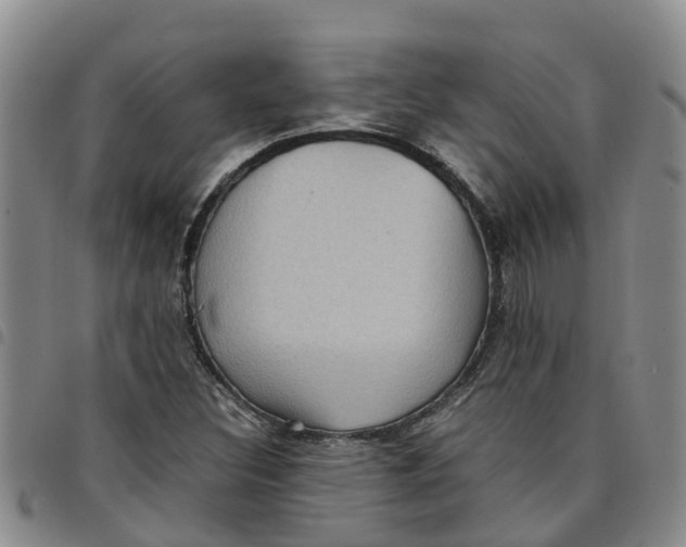 X0000097461308200803141843