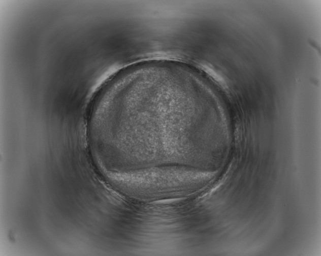 X0000097461310200803141843