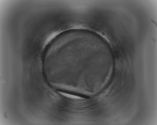 X0000097461311200803141843