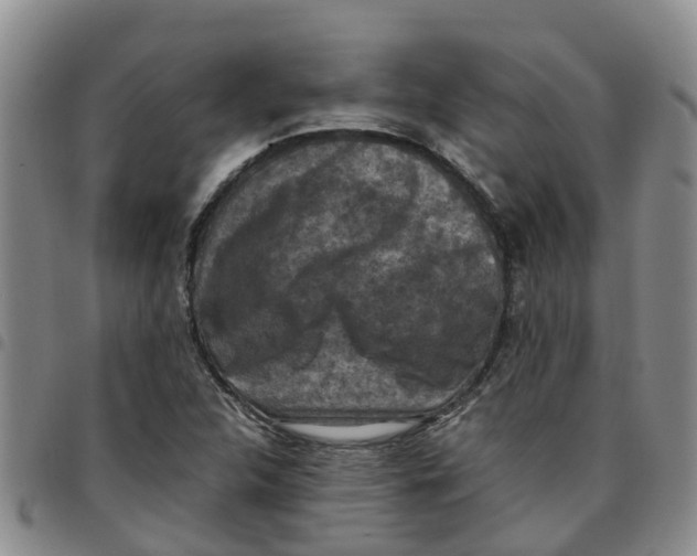 X0000097461312200803141843