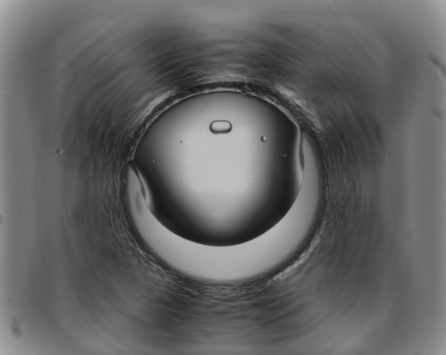 X0000097461313200803141843