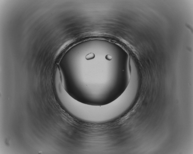 X0000097461314200803141843