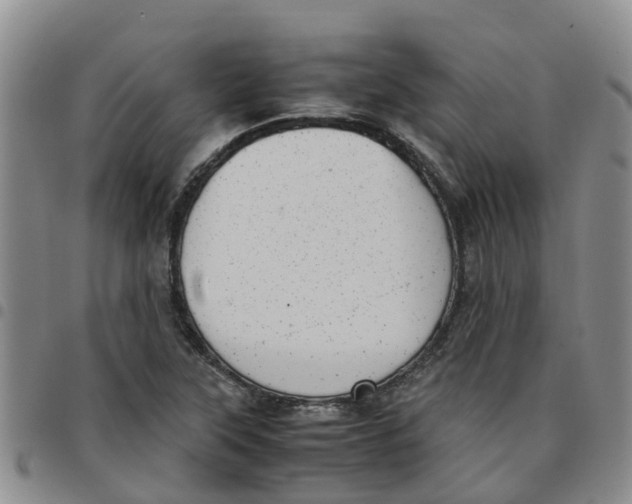 X0000097461315200803141843