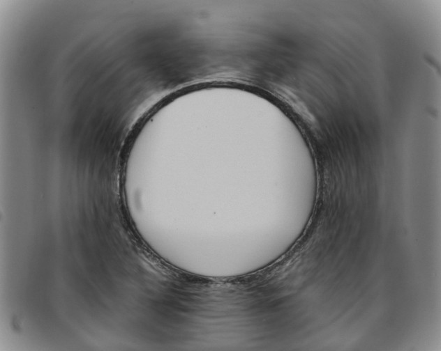 X0000097461316200803141843