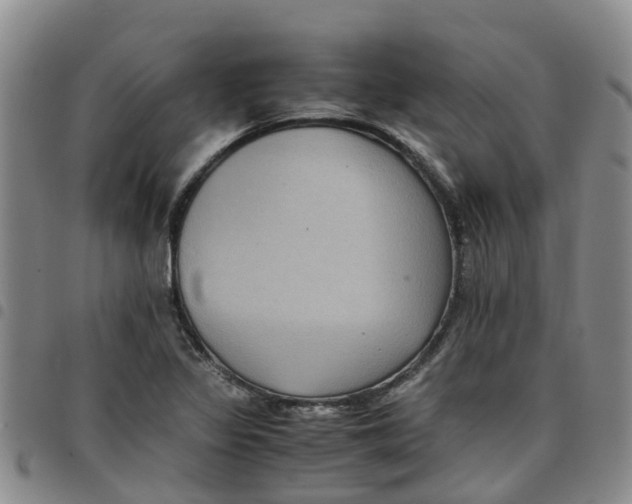 X0000097461317200803141843