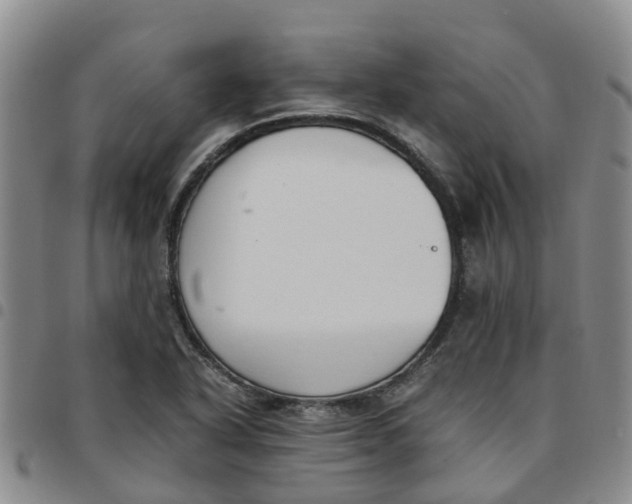 X0000097461318200803141843