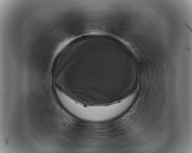 X0000097461319200803141843