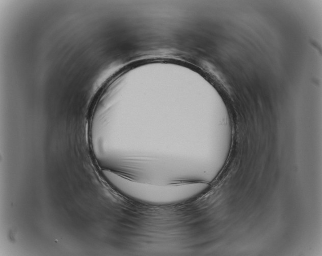 X0000097461320200803141843