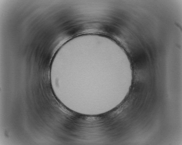 X0000097461322200803141843