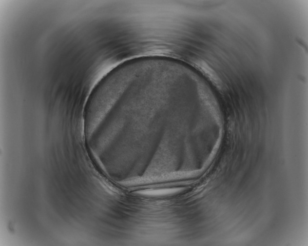 X0000097461324200803141843