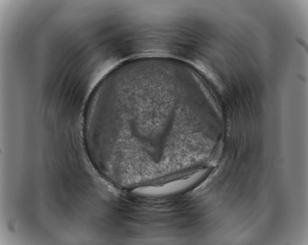 X0000097461325200803141843