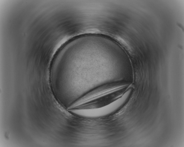 X0000097461326200803141843