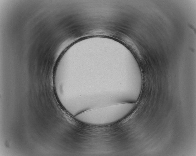 X0000097461328200803141843