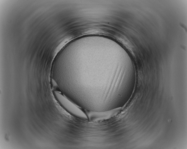 X0000097461330200803141843