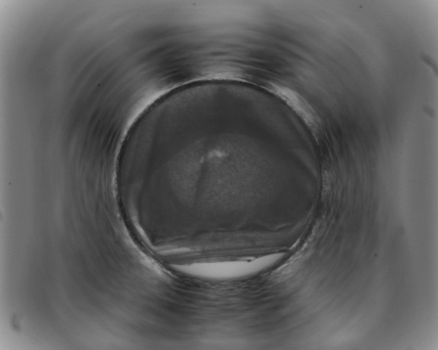 X0000097461331200803141843