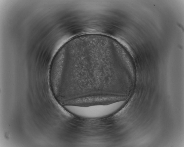 X0000097461333200803141843