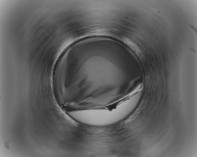 X0000097461334200803141843