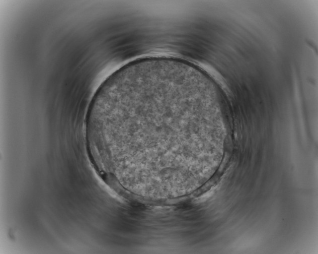 X0000097461335200803141843