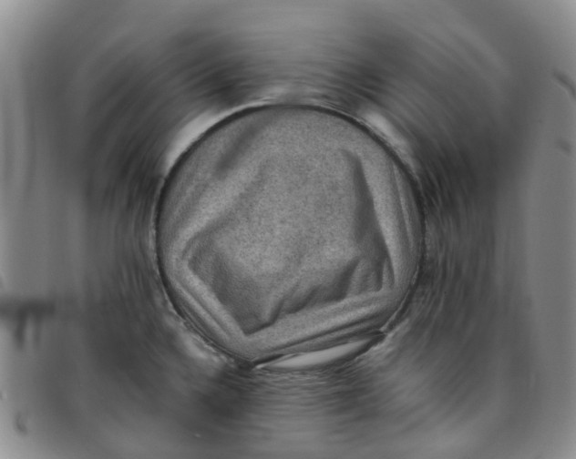 X0000097461336200803141843