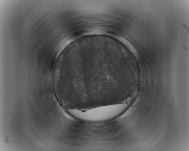 X0000097461337200803141843