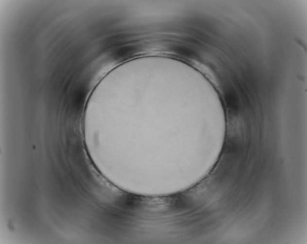 X0000097461338200803141843