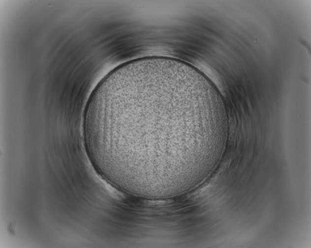 X0000097461339200803141843