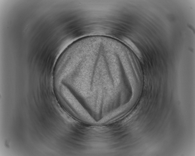 X0000097461340200803141843