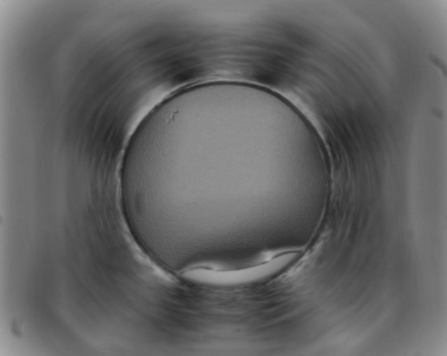 X0000097461341200803141843