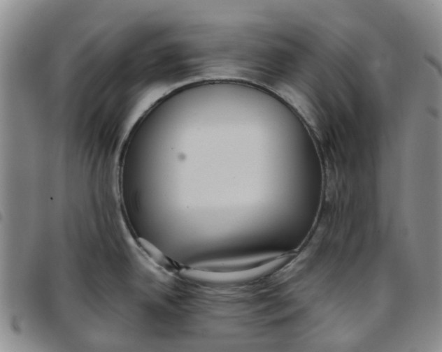 X0000097461342200803141843