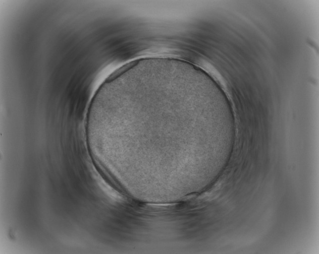 X0000097461344200803141843