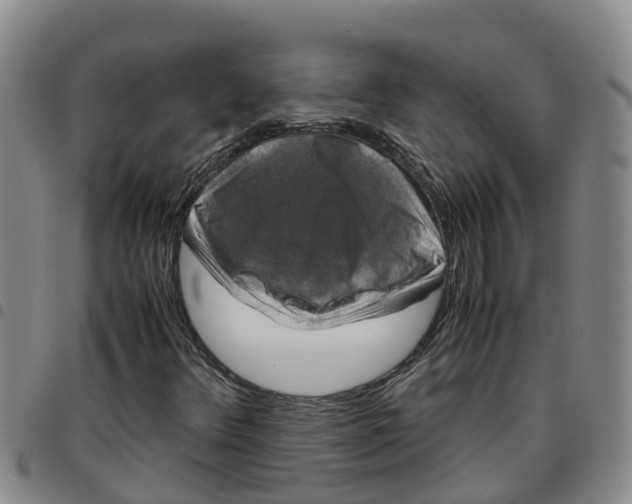 X0000097461348200803141842