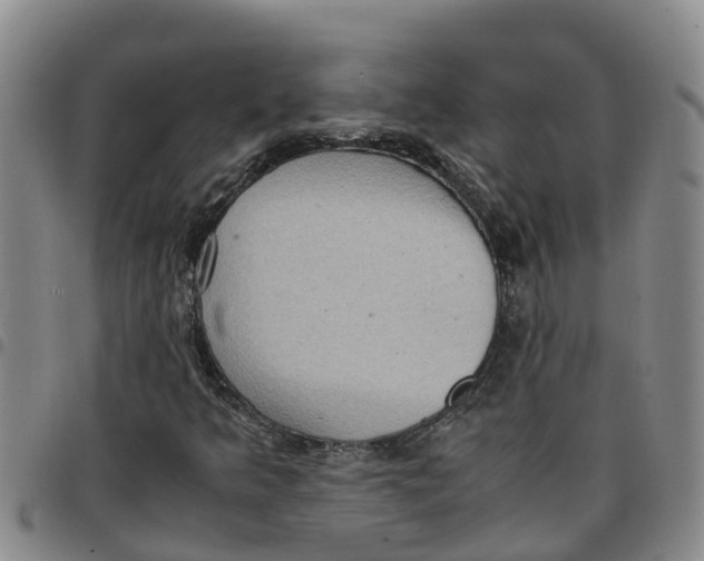 X0000097461349200803141842