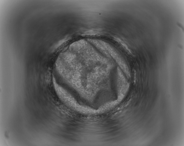 X0000097461350200803141842