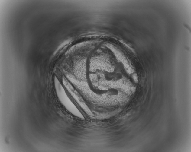 X0000097461351200803141842