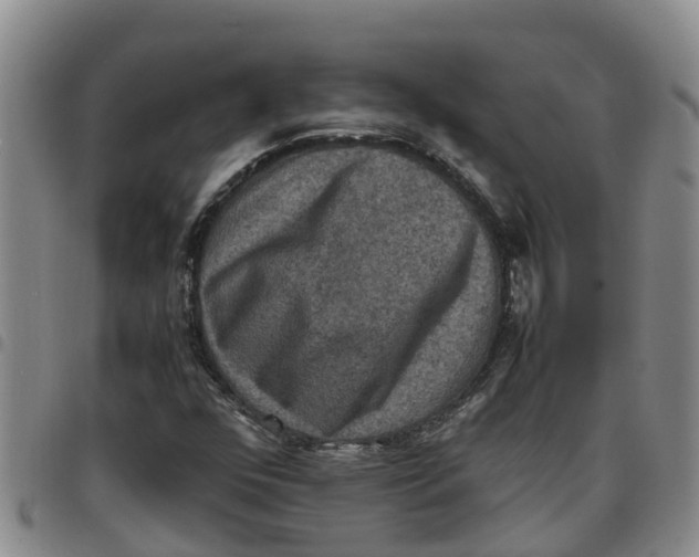 X0000097461352200803141842