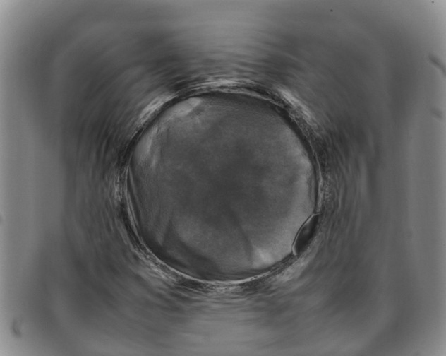 X0000097461353200803141842