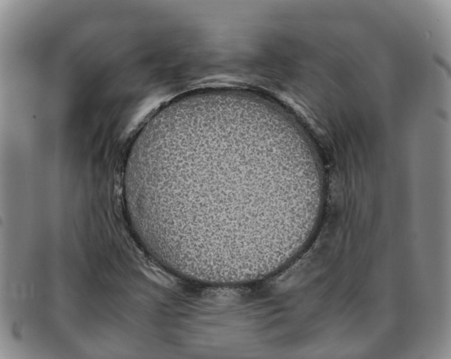 X0000097461355200803141842