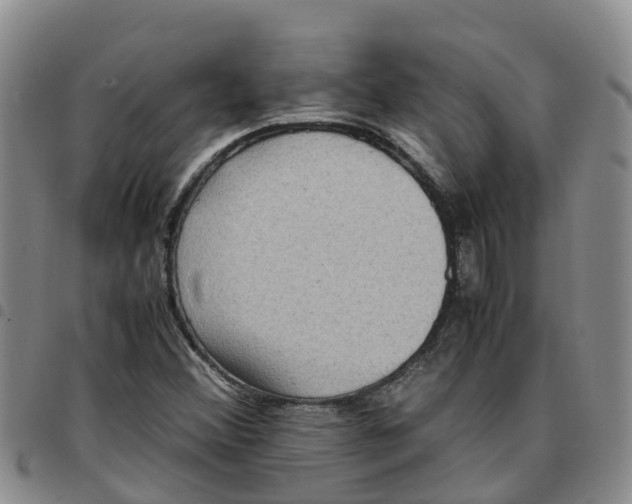 X0000097461356200803141842