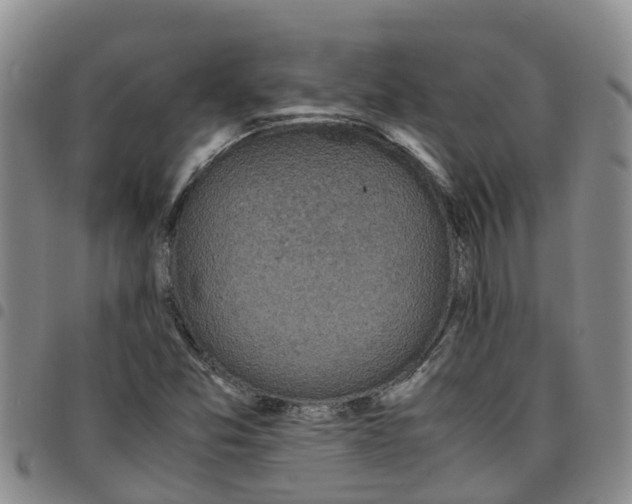 X0000097461357200803141842