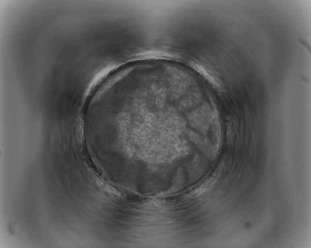 X0000097461358200803141842