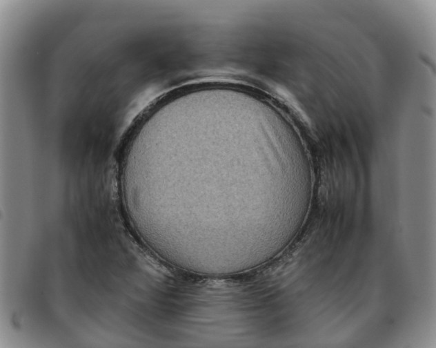 X0000097461360200803141842