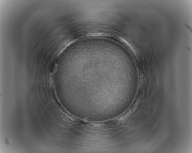 X0000097461361200803141842