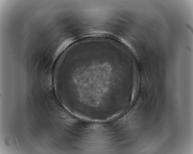 X0000097461362200803141842