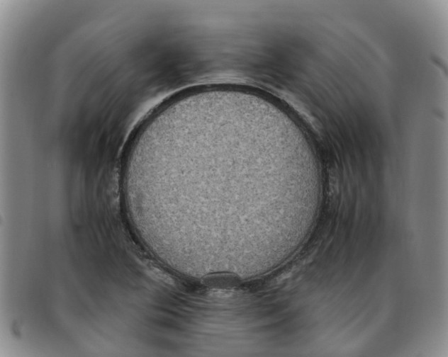 X0000097461364200803141842