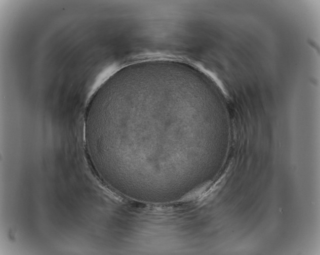 X0000097461365200803141842