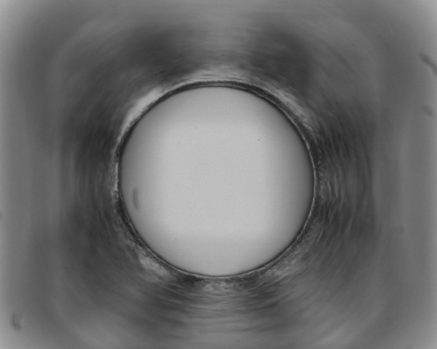 X0000097461366200803141842